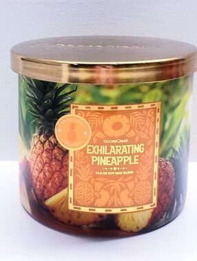 Goose Creek EXHILARATING PINEAPPLE Large 3-Wick Scented Candle, 14.5 Oz